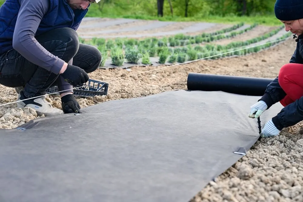 Agrowłóknina na chwasty - jak wybrać najlepszą i zastosować ją w ogrodzie?