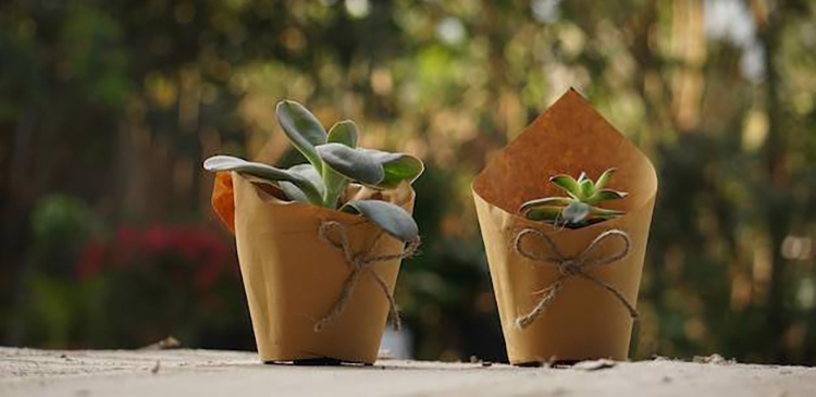 Jak ozdobić doniczkę papierem? Poradnik i inspiracje DIY