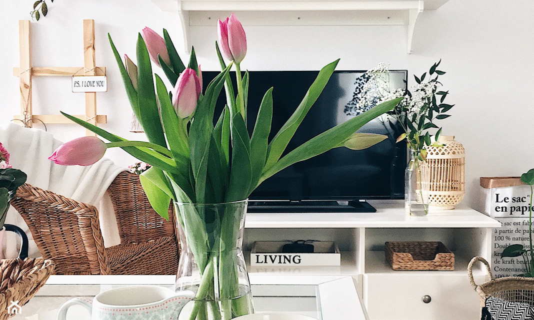 Jak przedłużyć żywotność tulipanów w wazonie? Poradnik i domowe sposoby