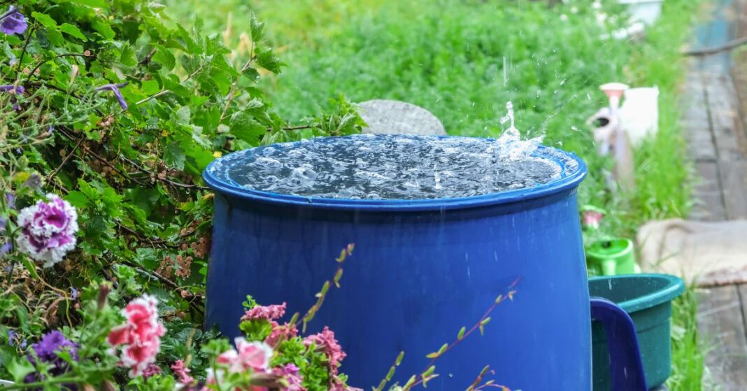 Jak ozdobić beczkę na deszczówkę? Kreatywne pomysły i inspiracje